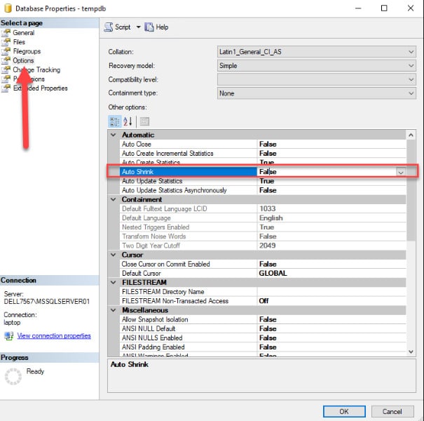 Figure 1 - Auto Shrink SQL Server option